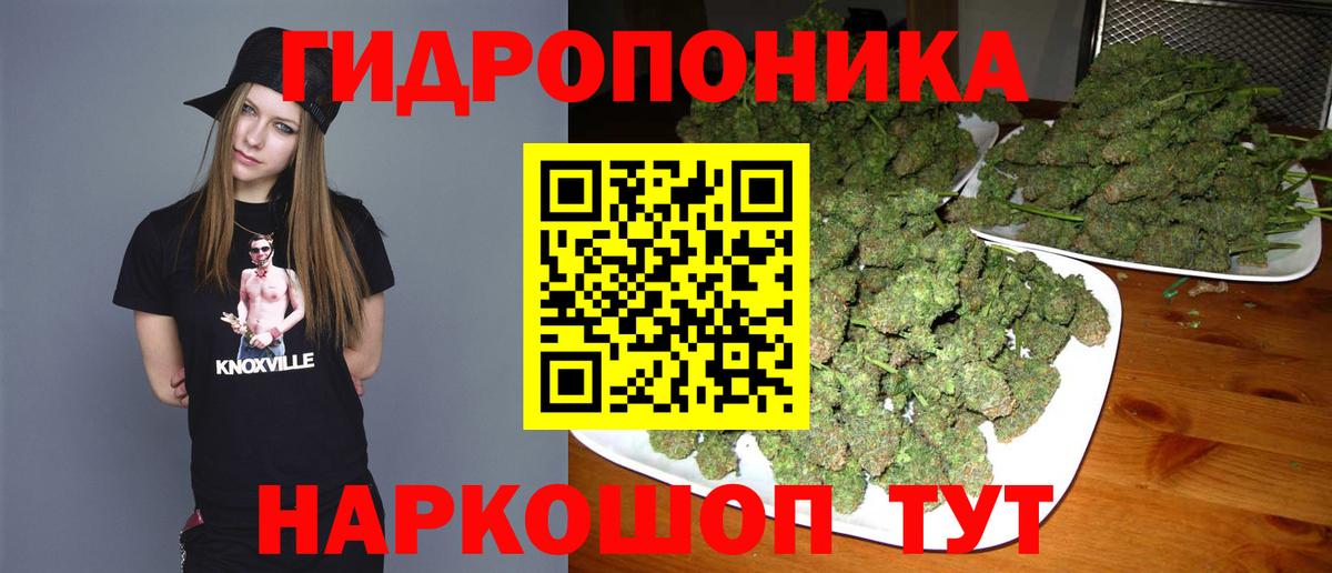 Канабис конопля Электросталь